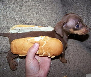 BST - WooCommerce - Hotdog - Has dimensions